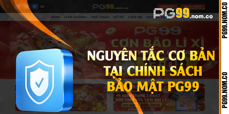 Nguyên tắc cơ bản tại chính sách bảo mật PG99